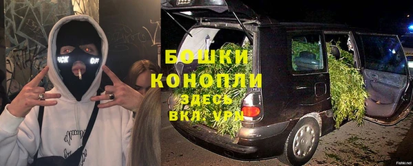 шишки Бугульма