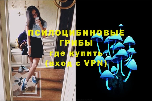 тгк Верхний Тагил